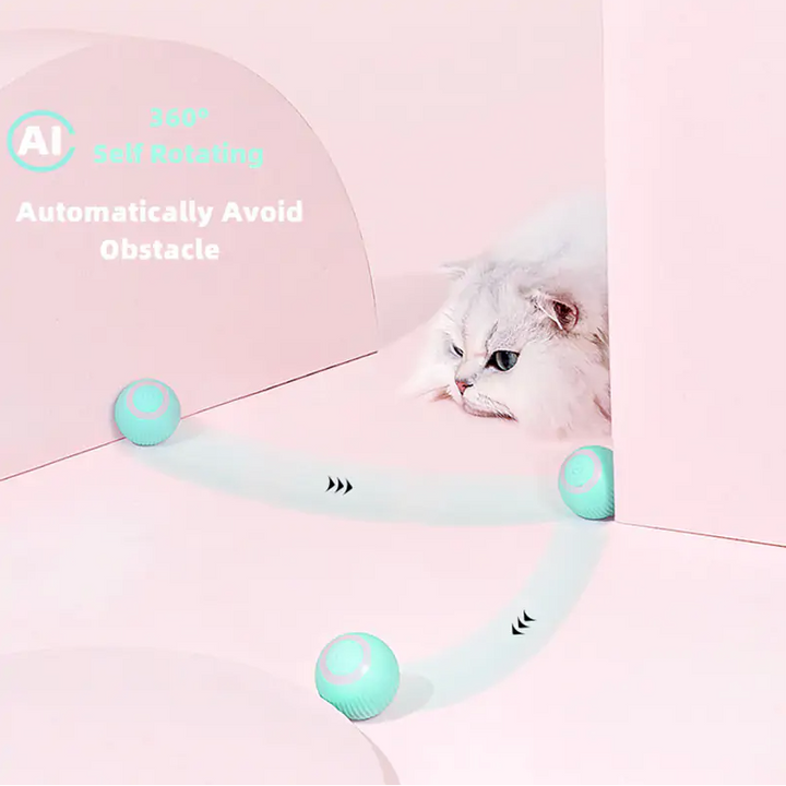 Smart Cat Ball Spielzeug - 🇨🇭Trendprodukte Fast Gratis🇨🇭