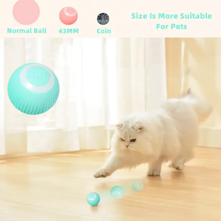 Smart Cat Ball Spielzeug - 🇨🇭Trendprodukte Fast Gratis🇨🇭