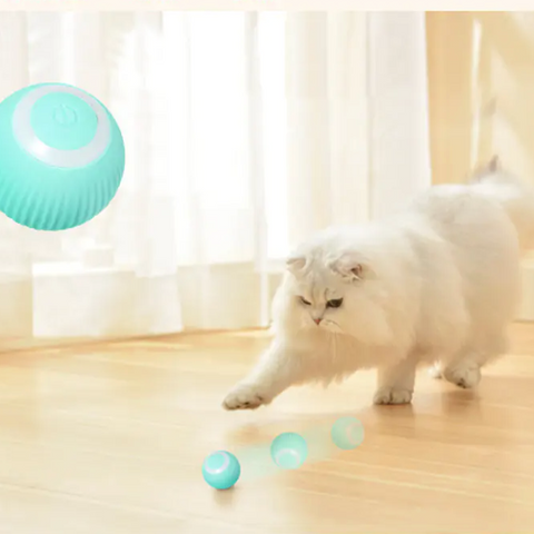 Smart Cat Ball Spielzeug - 🇨🇭Trendprodukte Fast Gratis🇨🇭