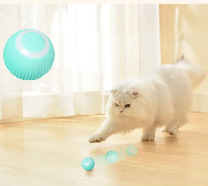 Smart Cat Ball Spielzeug - 🇨🇭Trendprodukte Fast Gratis🇨🇭