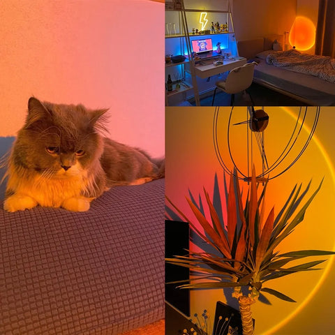 Sonnenuntergangs-Projektions-Nachtlicht - 🇨🇭Trendprodukte Fast Gratis🇨🇭